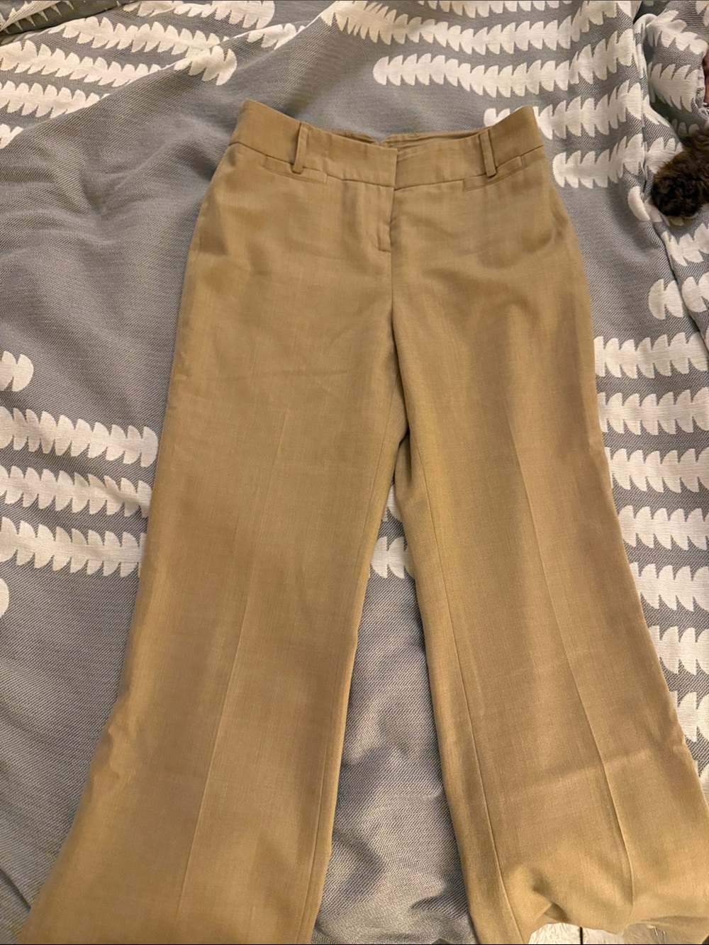 LOFT Tan Boot-Cut Dress Pants